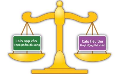 Chế độ ăn giảm cân hiệu quả: 10 nguyên tắc vàng bạn cần biết