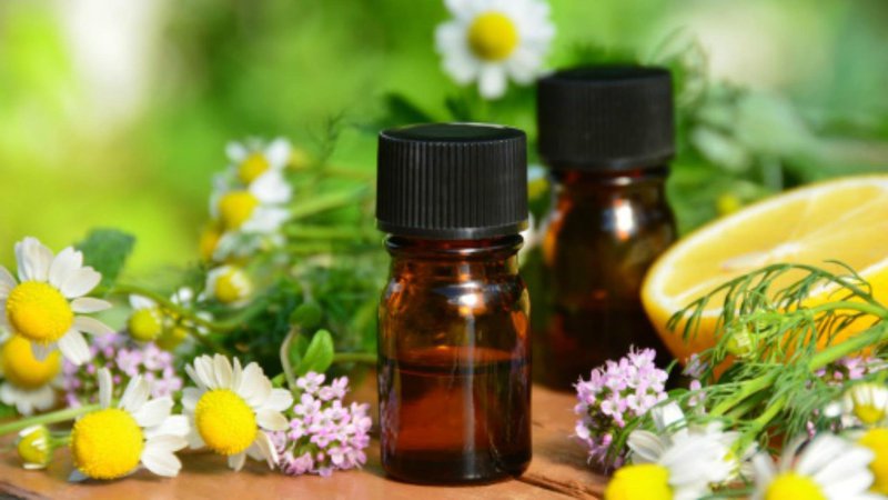 cac-loai-tinh-dau-pho-bien Các loại tinh dầu phổ biến