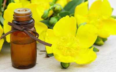 10 Công dụng tuyệt vời của tinh dầu hoa anh thảo và cách dùng tối ưu