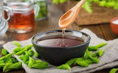 Tác dụng của tinh dầu thông đỏ và những lưu ý khi sử dụng